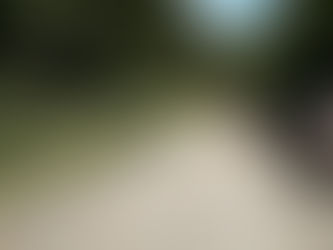 Laurențiu Nistor: Dezvoltăm Țara Moților! În câteva zile, va începe modernizarea DJ 741