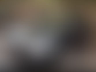 Publici poze cu mașini parcate ilegal? Trebuie să ștergi numărul de înmatriculare