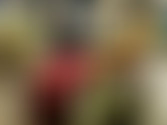 23 octombrie 2021, Zi de doliu în județul Hunedoara, ca omagiu adus Preasfințitului Părinte Gurie