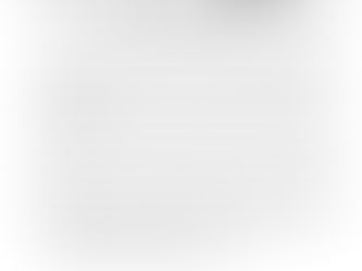 Organizarea celor opt workshop-uri din cadrul proiectului “SICONET”