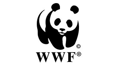 hero-wwf-596-334-7ff5a826.jpg