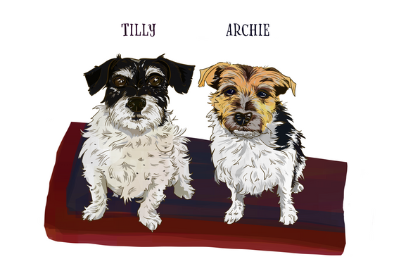 Opening Summer commissions for pet portraits