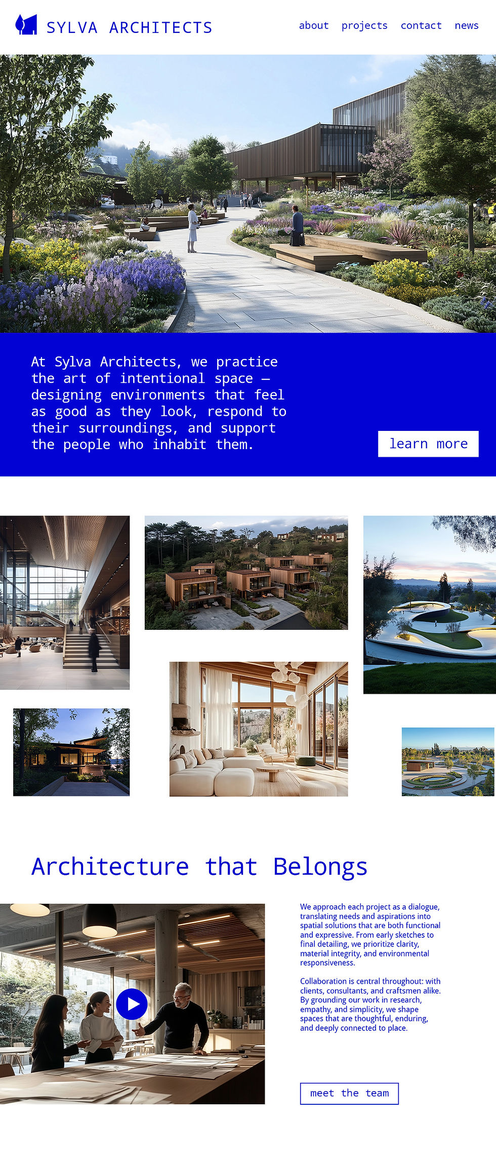 Sylva website homepage.jpg