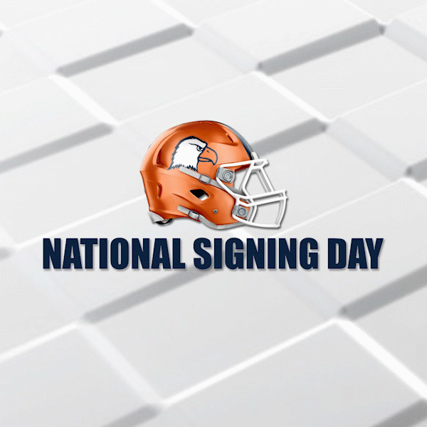 NSD 2020 gif