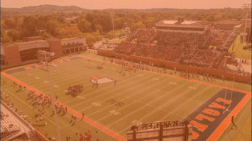 NSD 2019 gif