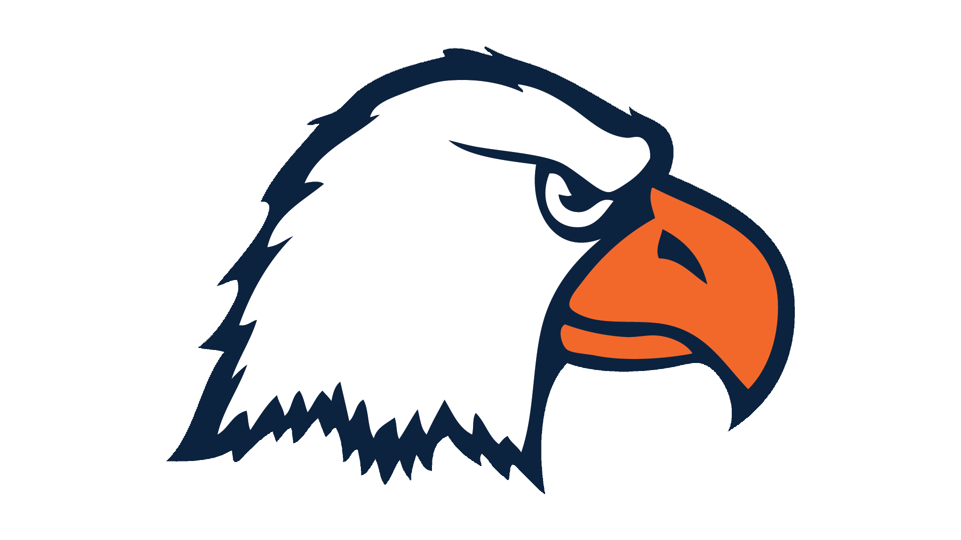 Spinning Eagle Head sticker 2020
