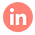 icon - linked in
