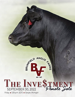 2022 Female Sale Catalog Cover