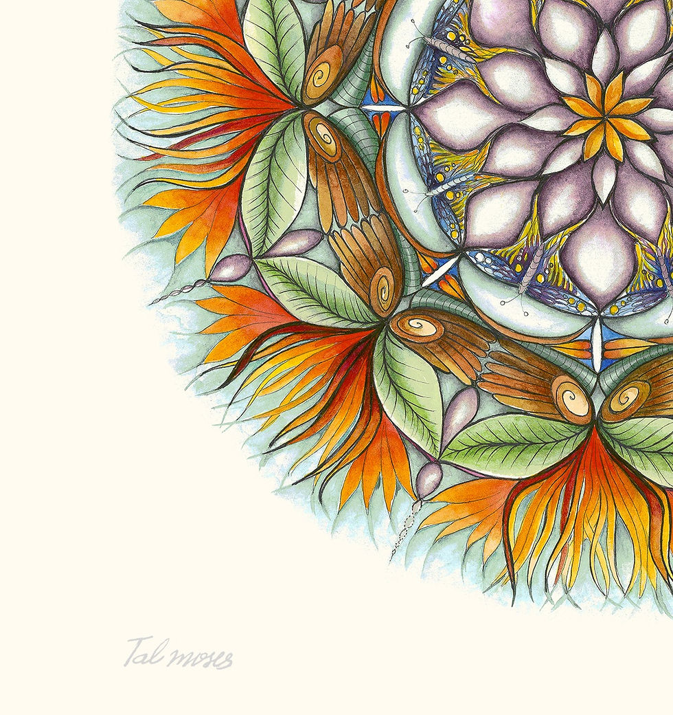 תמונה ממוזערת: חיים - Life