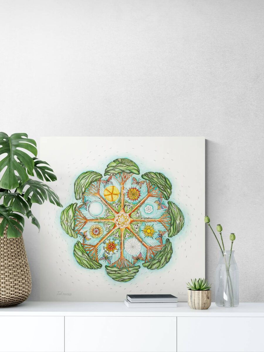 תמונה ממוזערת: טבע - Nature