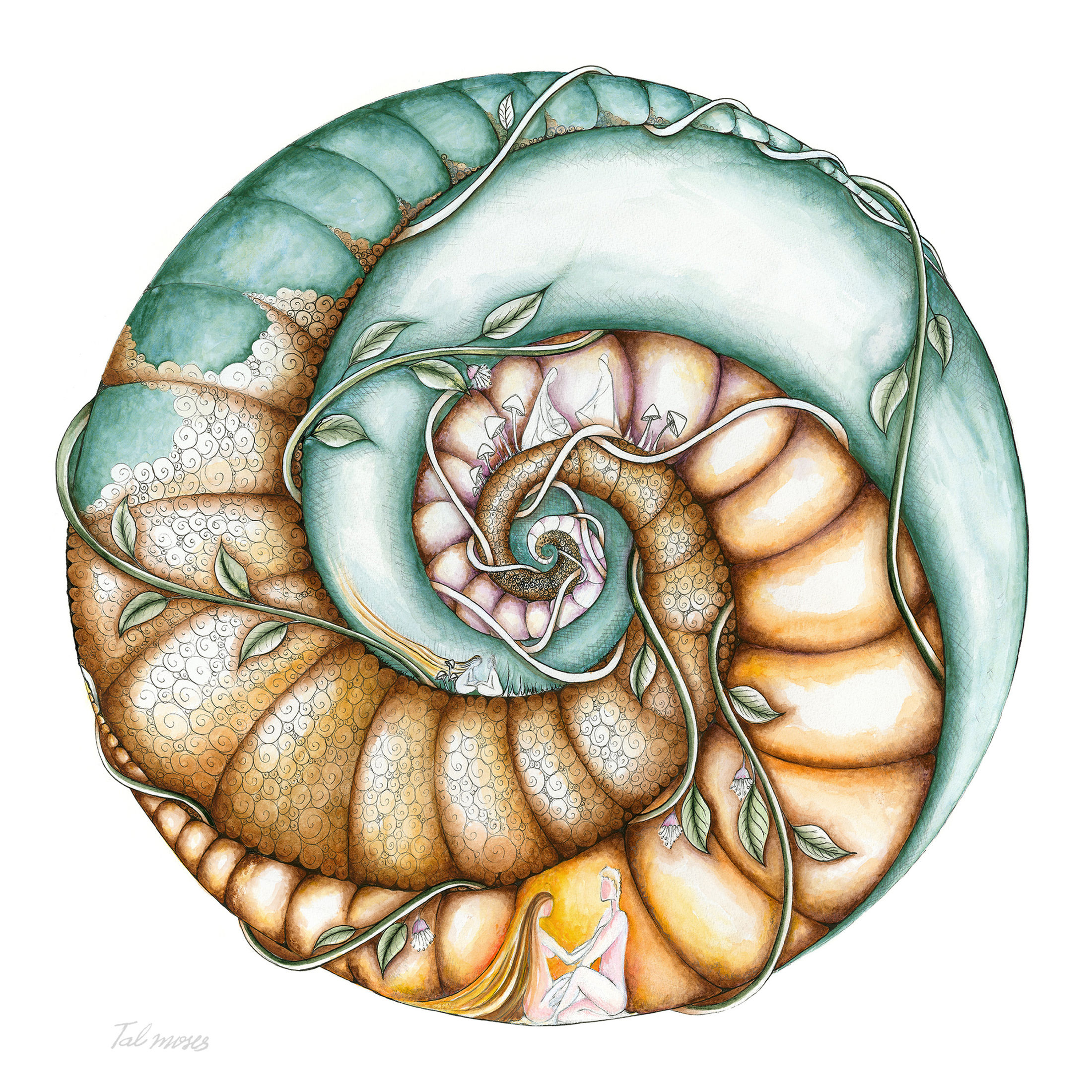 דרך האהבה - The love journey