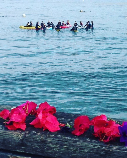 Donor paddle out