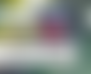 Inbjudan till alla SVAF:s Medlemmar