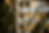 ChatGPT Image Jun 16, 2025, 09_22_33 PM.png