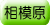 adr_col_sagamihara.gif