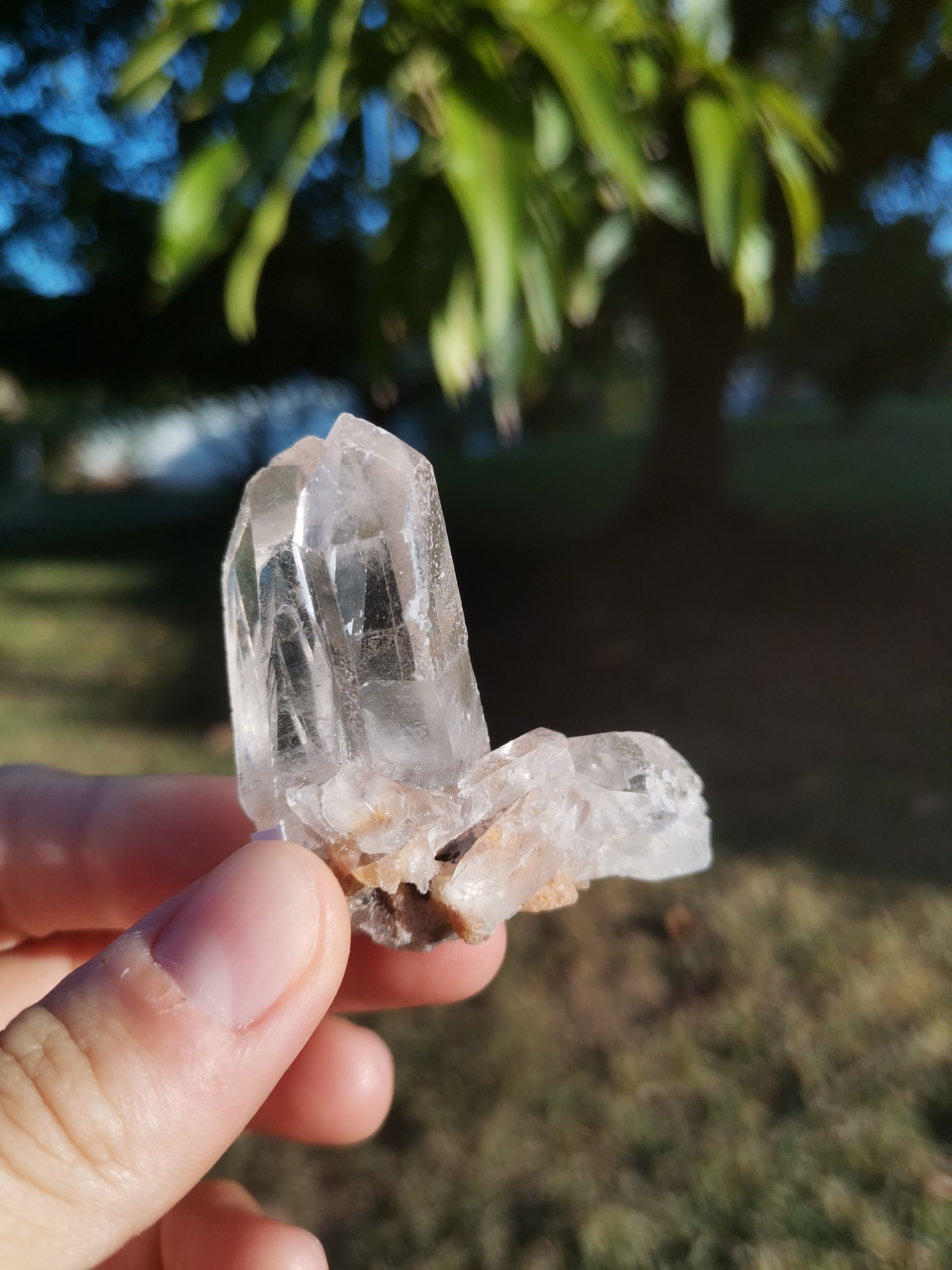 Quartzo Xamã Lemuriano Bruta