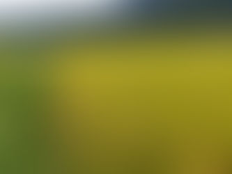 世のため人のため