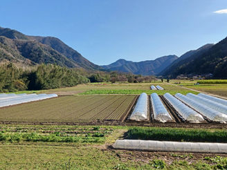 そのうち打って出たいね