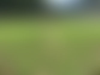 土寄せが始まり繁忙期のゴールが見えた