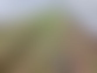 大豆作業のゴールが見えた