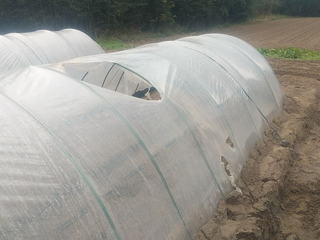 厄介なトンネル被害