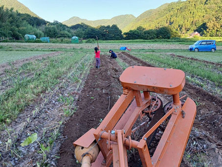 繁忙期の終わり