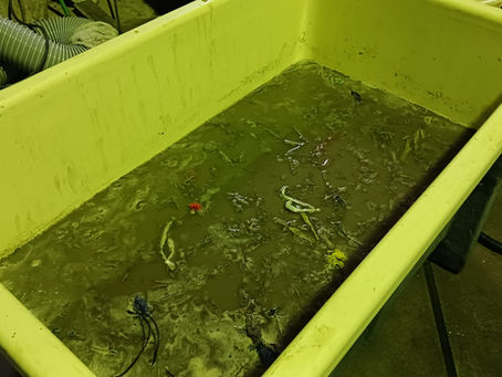 築堤がらみの手続きでイライラ