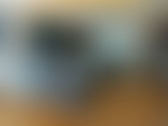 自然栽培による家庭菜園講座が実現