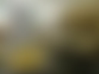 ゴールは見えたが、まだまだテンコ盛り