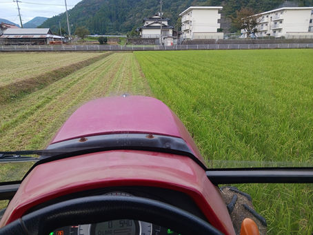 ひこ生えの粉砕なんだけど