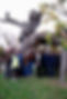 Tree planting.jpg