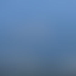 Les contestations autour des parcs photovoltaïques de grande envergure