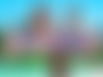 Discover Sri Lanka Your Way: A Local Expert’s Guide to Planning a Private & Customized Tour in 2026