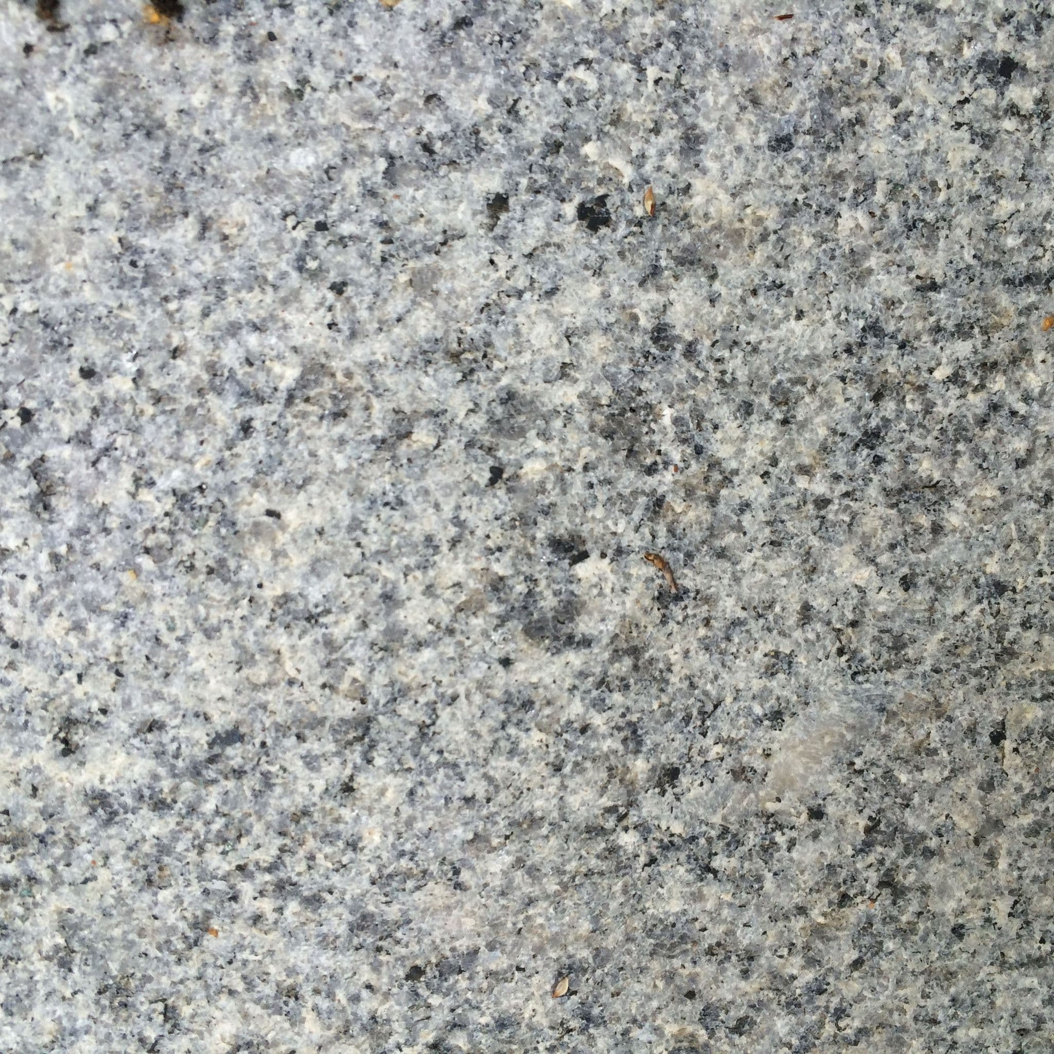 Sliver Gray Granite