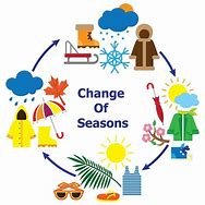 Embracing the Seasons of Change: Honoring Life, Death, and Legacy