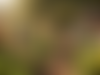 Discovering LR Wellness: Your Path to Wellbeing and Wellness Community Services