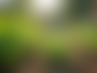 Discovering LR Wellness: Your Path to Wellbeing and Wellness Community Services