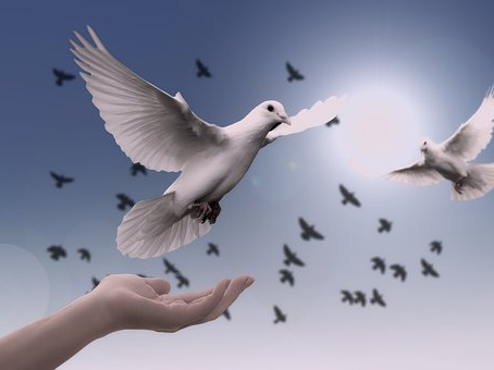 Grief to peace is possible.