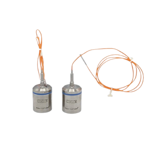 Kaye ValProbe Cryo Logger