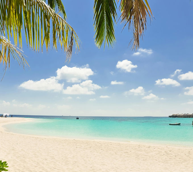 pexels-asadphoto-1450353 (1).jpg