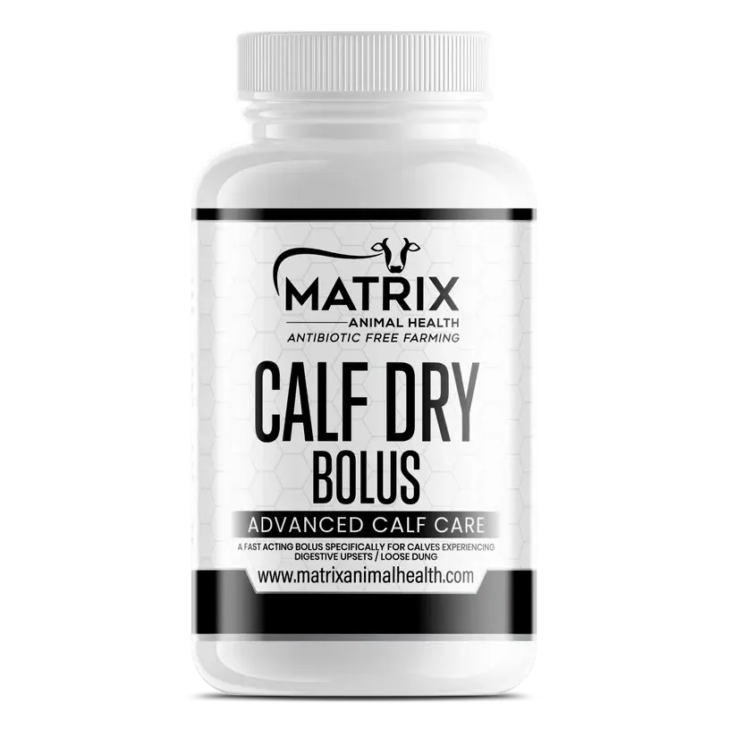 Calf Dry Bolus