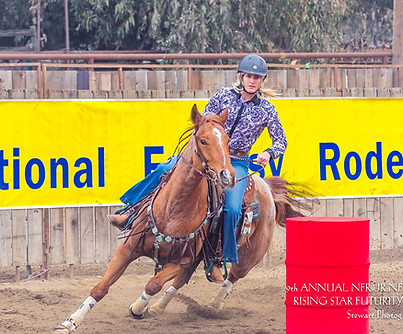 att.68ADhQJptF9_Eggjzj2nQZwWb0U9t4X2OYpJut3znPY 2.JPG