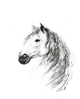Grey Horse, final.jpg