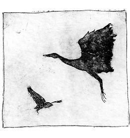 Présentation du livre Miette la mouette d'Axelle Glé illustré par Axelle Tamby-Bernage, publié par les éditions du Canapé