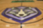 Wolf logo on VF Training Volleyball Winter Garden court