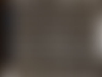 원프로벳 255만원 먹튀 one-pr1.com