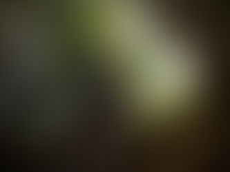 Jugend- & Clubsporttrial in Liebenstadt