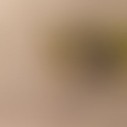 Piegler überzeugt bei der EM