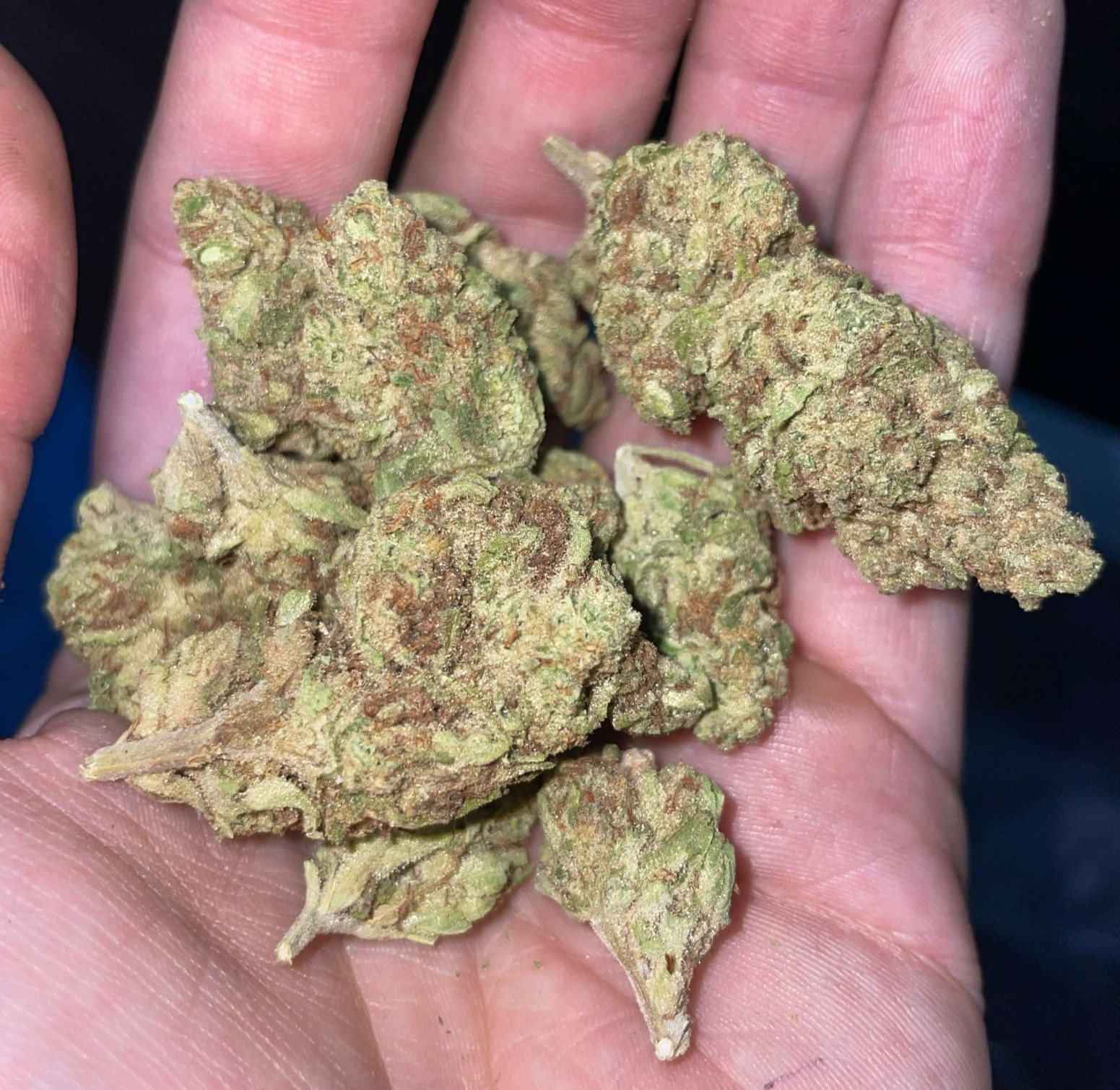 Baba Kush