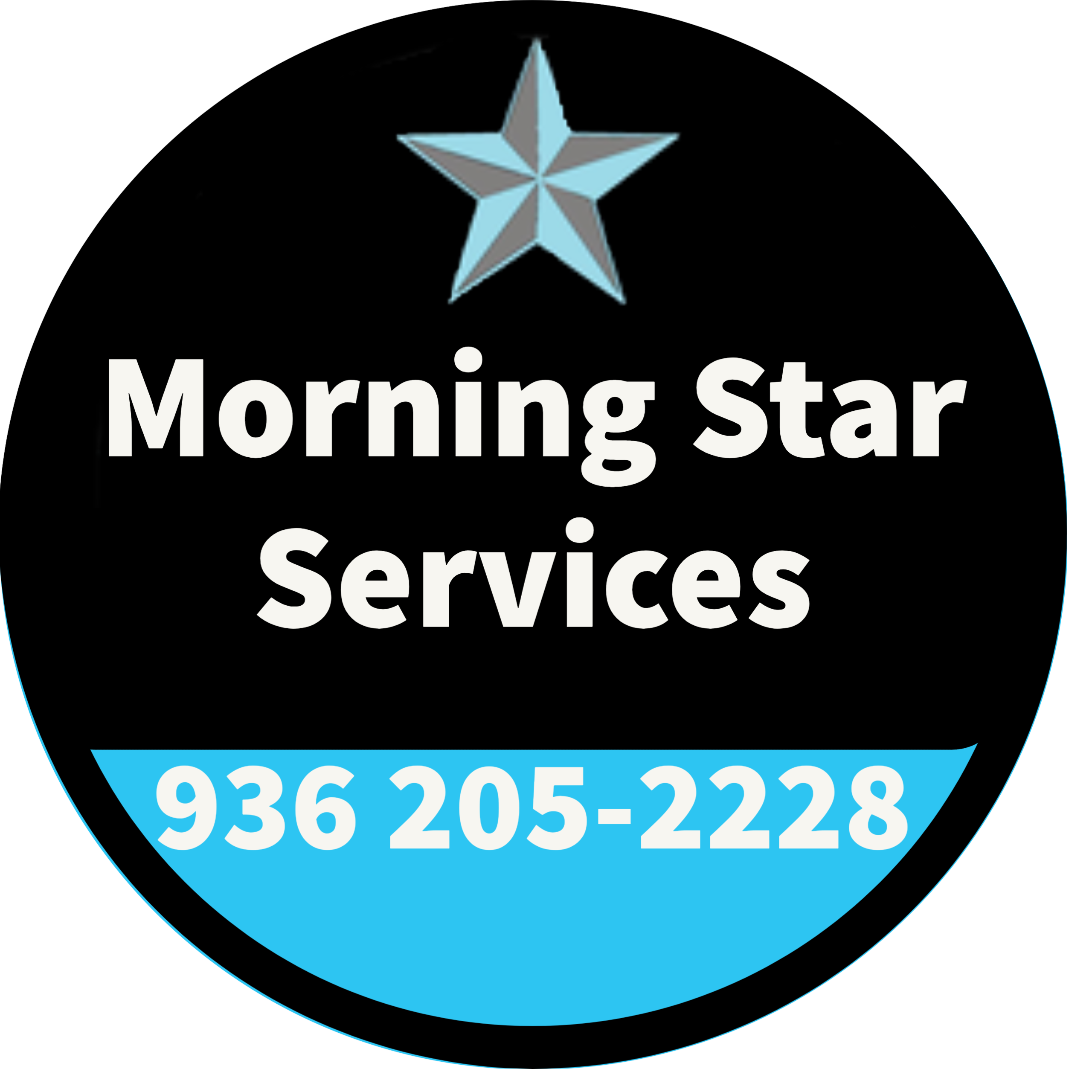 Morning Star Services logo
